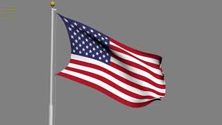 Animated USA Flag 3D model