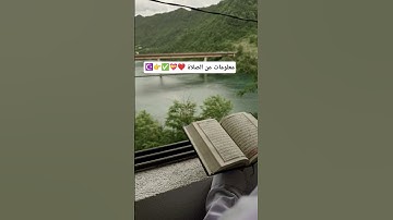 لا تهرب من إسم الله أكتب يا الله وانشر القرآن الكريم معلومات عن الصلاة #القرآن_الكريم #المصحف