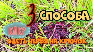 Как одеть червя на крючок? 3 ЛУЧШИХ СПОСОБА! #какнасадитьчервянакрючок #наживка