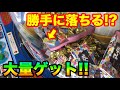 【クレーンゲーム】#277 勝手に大量ゲット!? タワーを崩したら大変なことに…w UFOキャッチャー【2018関東4】