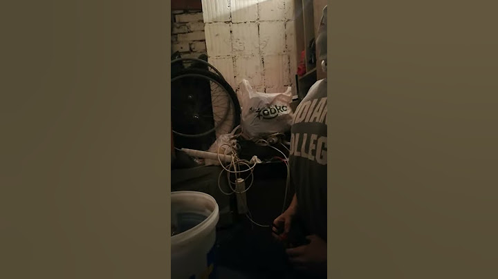Giga koks wali giga wiadro