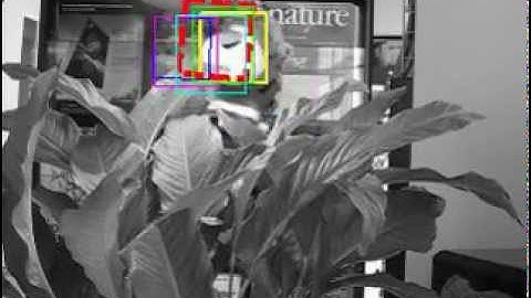 Robust PCA-based Visual Tracking Using MRL