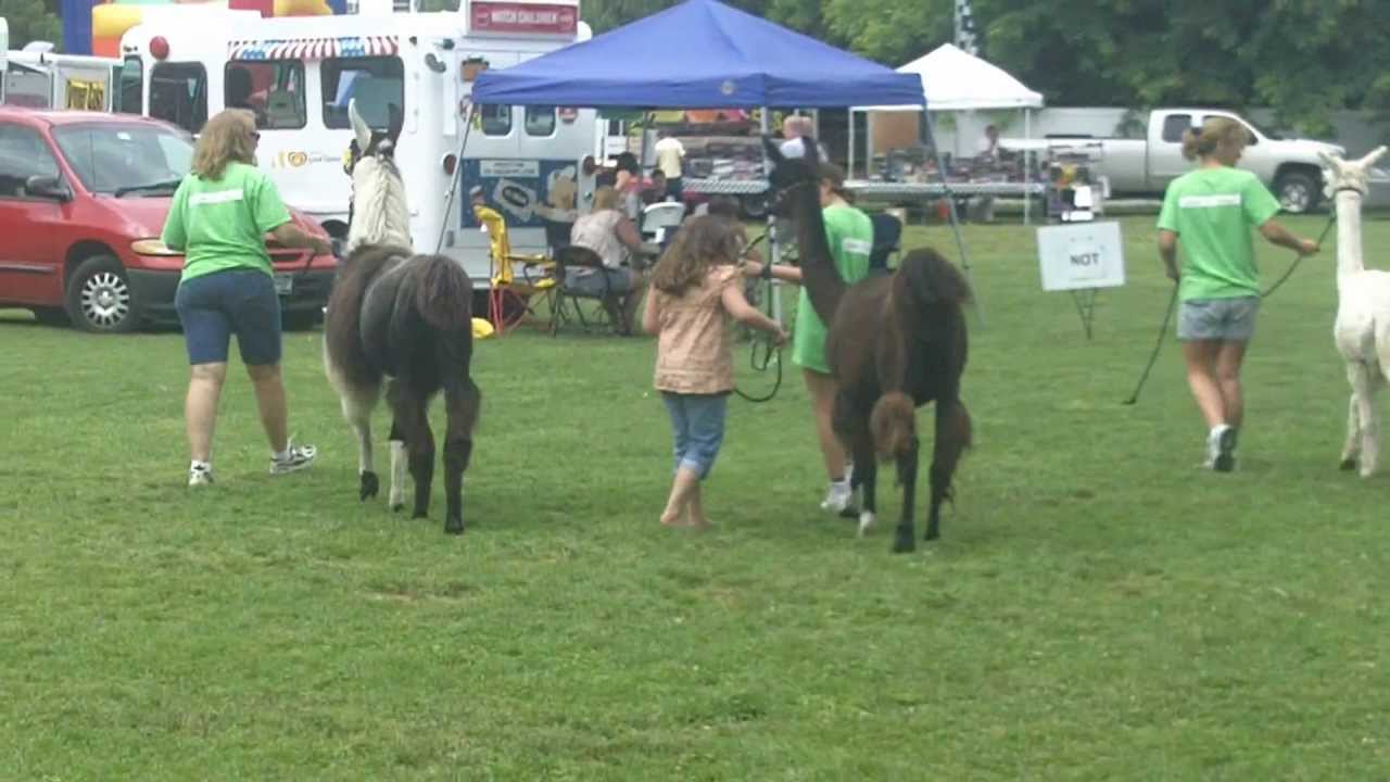 concerts in reno Alpaca Stampede