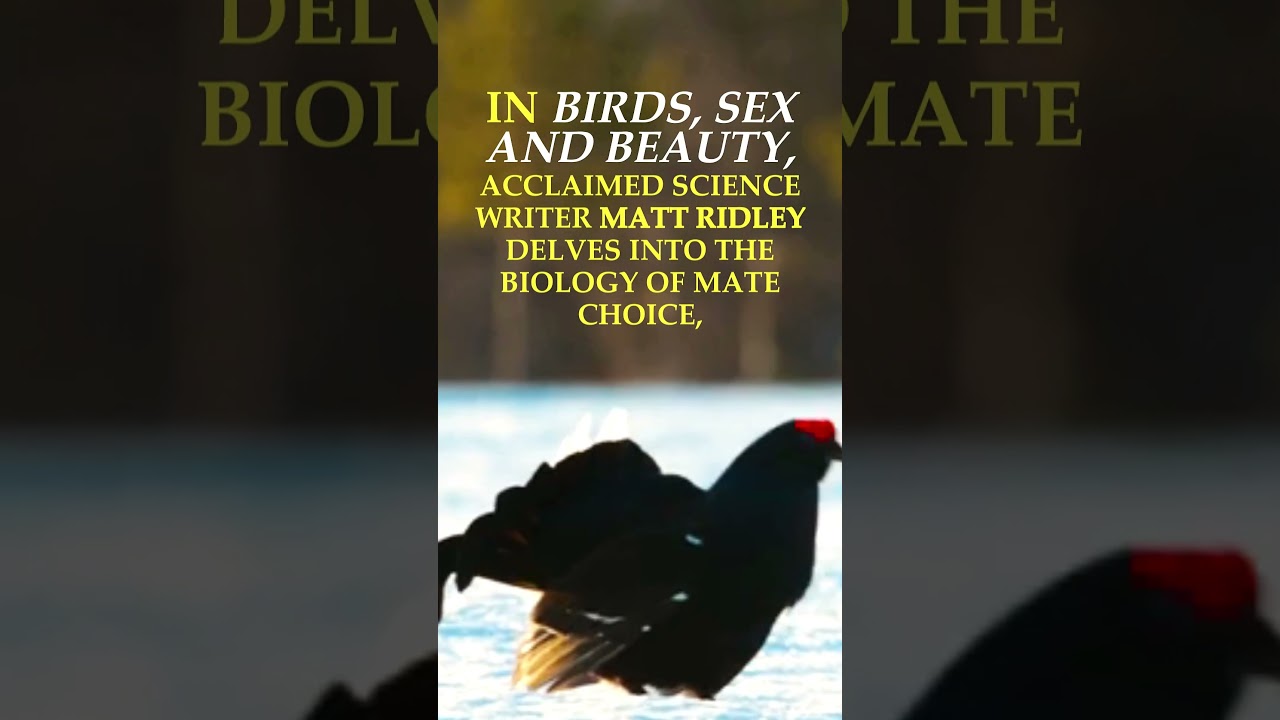 Birds, Sex and Beauty by Matt Ridley: Out Now