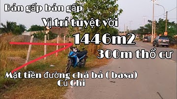 Nhà đất củ chi | giá rẻ | giới thiệu | Lô đất tuyệt đẹp DT 1446m2 có 300m thổ mặt tiền đường bự chản