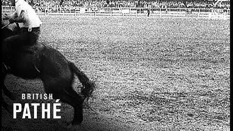 Roaring, Rampaging Days Recalled! (1933)