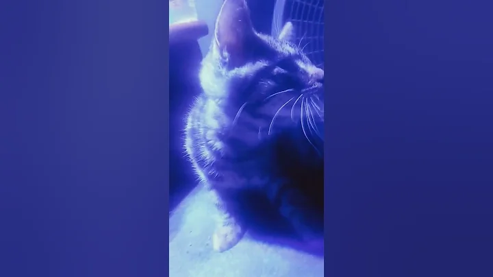 my baby boy