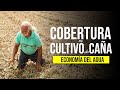 LA IMPORTANCIA DE LA COBERTURA DE SUELO (Economía del Agua) | Jairo Restrepo Rivera