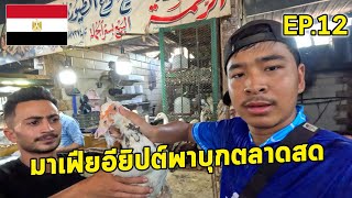 [Ep.12] มาเฟียอียิปต์พาบุกตลาดสด สดกว่านี้ไม่มีอีกแล้ว | Egypt 🇪🇬