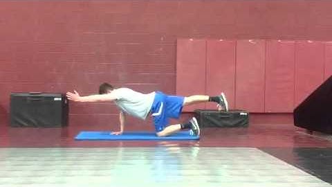 Quadruped Alternating Upper and Lower Extremity