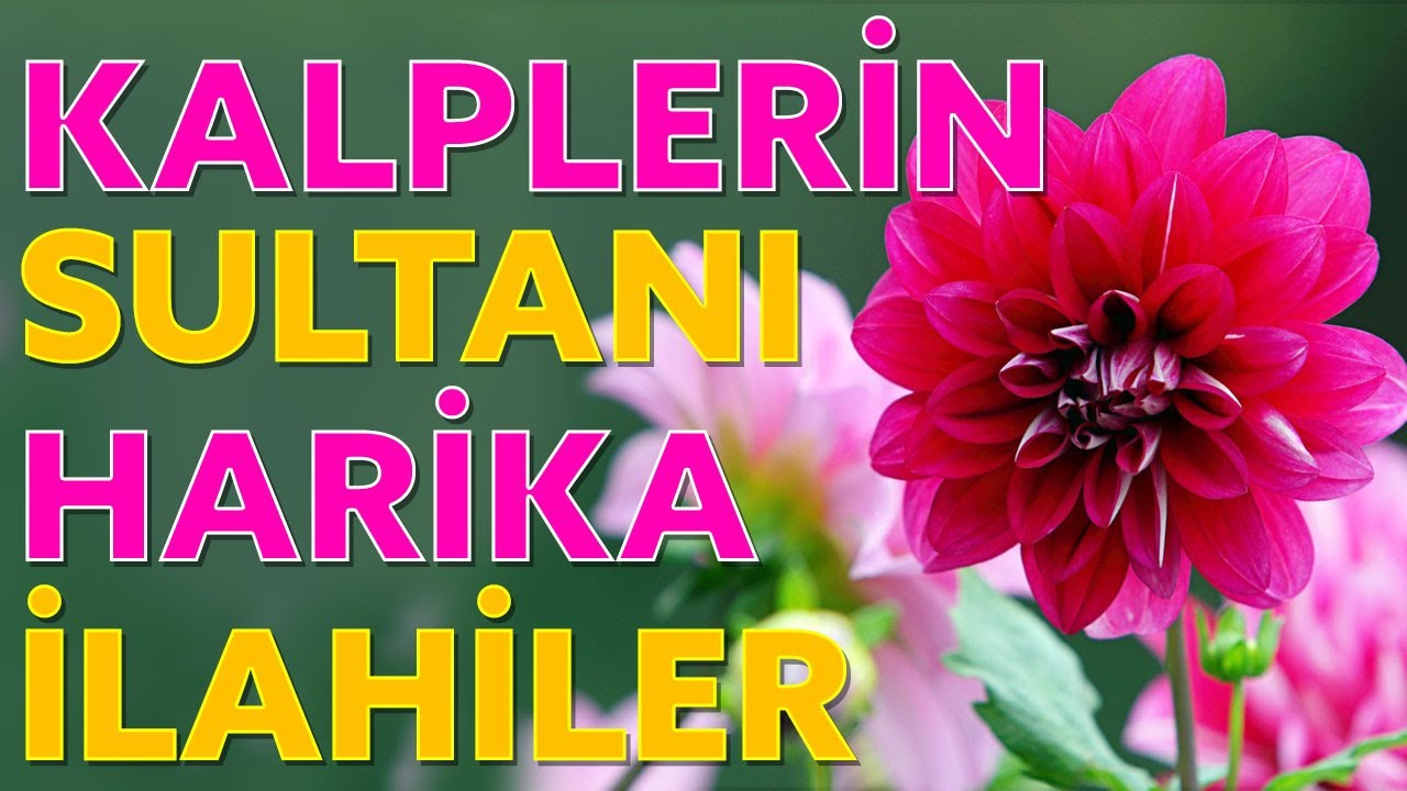Kalplerin Sultanı Harika İlahiler / Doğan Güneş Batan Ayda Görüyorum Mevlam Seni