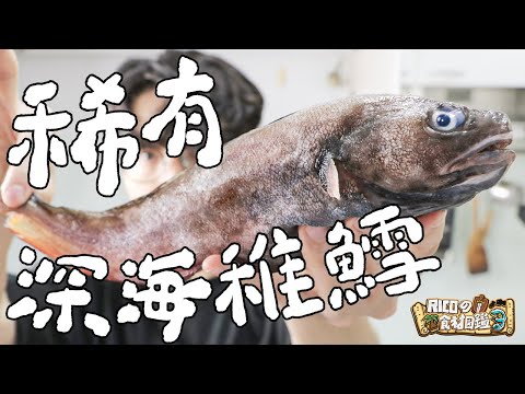 難得一見 ! 你沒吃過的超稀有深海稚鱈 ｜RICOの食材圖鑑