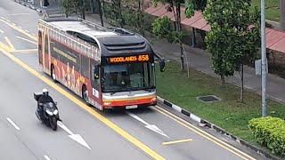 (McDonald's Full Body Advertisement) SMB1444G On Service 858 At Yishun Avenue 2 (McDonald's Full Body Advertisement) SMB1444G On Service 858 At Yishun Avenue 2