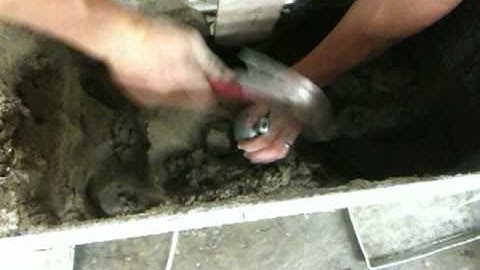 Calcite precipitation by indigenous bacteria