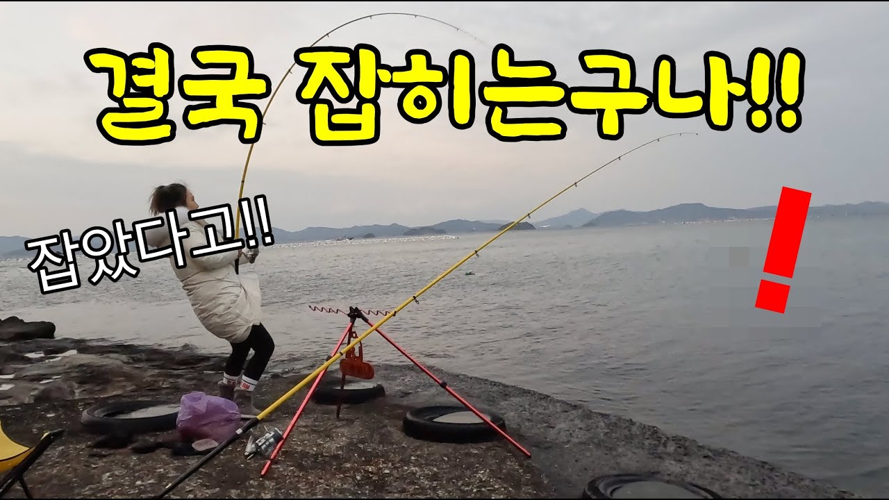 낚싯대가 순간 활처럼 휘어버렸다!! 이 녀석 잡으려고 며칠 동안 고생했는지. 바로 먹자!