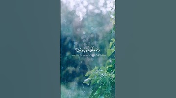 فقلت استغفروا ربكم إنه كان غفار||  تلاوة خاشعة🎧♥ بصوت صالح اليافعي #سورة_نوح