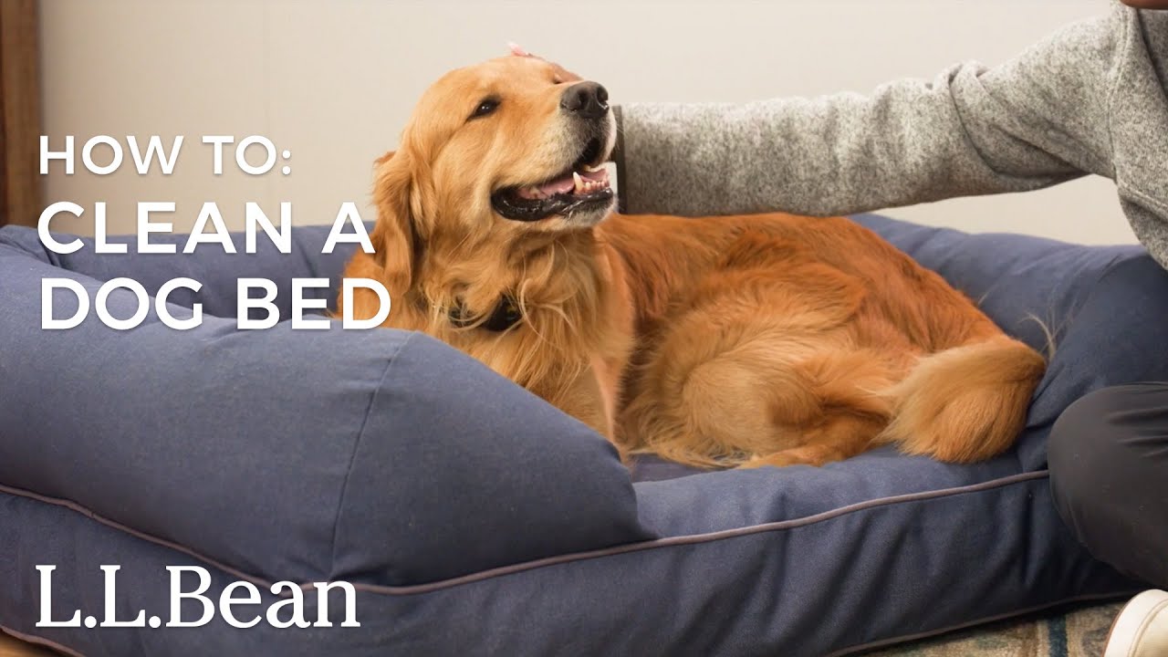 How To Wash Dog Beds: The Guide Every Pet Parent Needs - Anita'S  Housekeeping