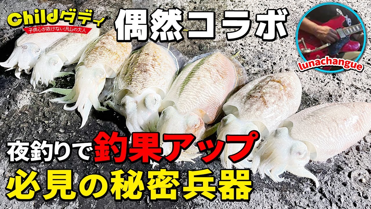 コウイカ 夜に効果的な釣り方発見しました エギング Youtube