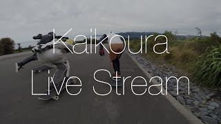 2017 Kaikoura Live Stream Teaser