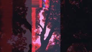 Watch Boy Harsher Motion video