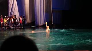 ''O'' Show by Cirque Du Soleil Las Vegas Part 5 Final