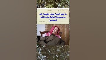 تلاوة بصوت الشيخ وليد ابراهيم الدليمي