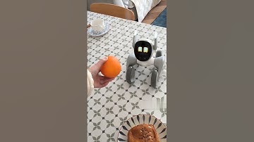 greedy loona robot eating #loona #loonapetbot #loonarobot #airobot #petbot #petrobot