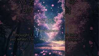 袁娅维 Tia Ray- 半世风霜  《一念关山 OST》