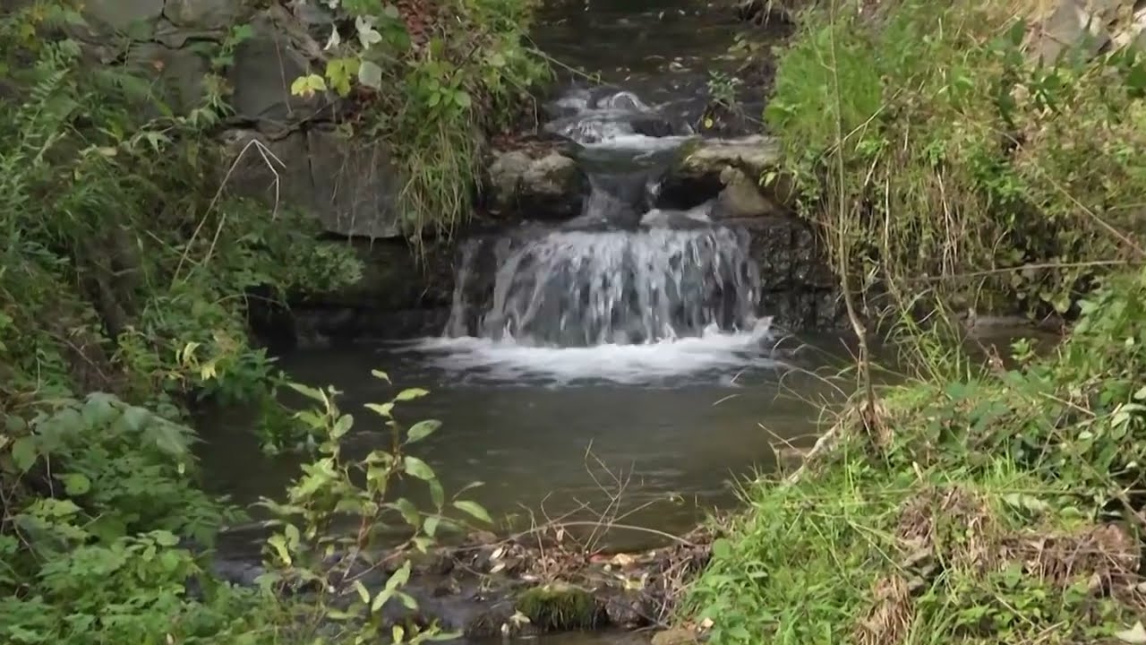 VIDEO Boj so suchom stále pokračuje. Jarabina rieši nedostatok pitnej vody