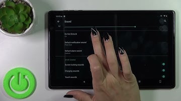 How to Manage Sound Settings in Toscido P101 - Personalize Sounds