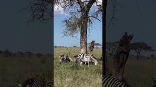 #Discovery, #ExploreTheWorld, #HiddenGems, #Adventure, #TravelVibes, and #ScienceExploration।