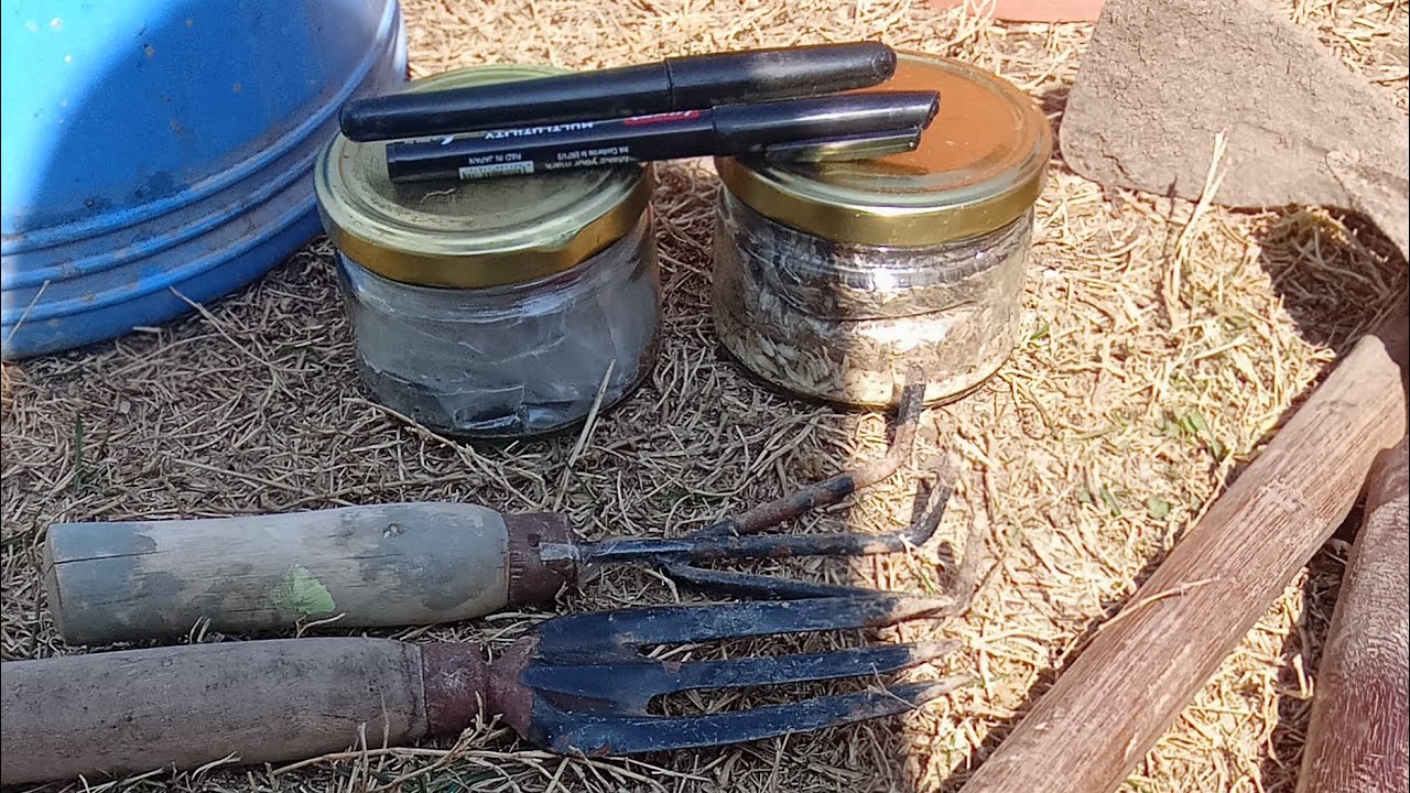 Nature's Bounty 🌼🌿 is live!Sowing seeds🌿