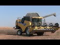 Tierra y Mar | Menos cereal en Andalucía que el año pasado