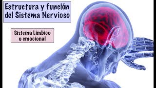 7  SISTEMA LÍMBICO O EMOCIONAL