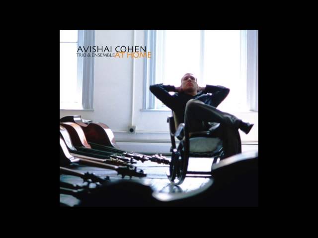 Avishai Cohen - Madrid