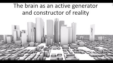 The brain as an active generator and constructor of reality