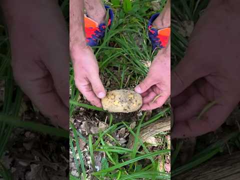 Survival in the Wilderness: Upcycled Life Hack #survival #bushcraft #outdoors #camping