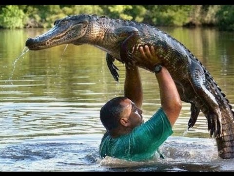Один на один с животными! Документальные фильмы, фильмы о животных