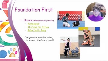 FDSA Webinar: Julie Flanery- Musical Freestyle! The top 5 things to teach your dog to get started!