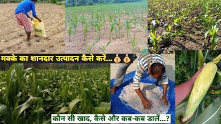 खाद कब डालें..? Fertilizer schedule of Maize Farming