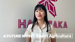 Yanmar And The Americas Cup