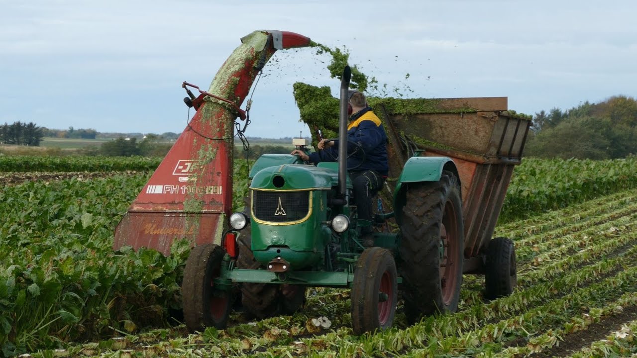 LOUD Vintage Deutz D55 Topping Sugar Beets