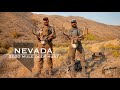 NEVADA - 2020 Early Rifle Mule Deer Hunt
