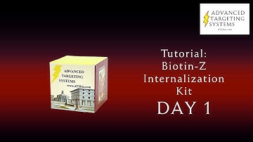 Biotin-Z Internalization Kit  - Day 01 (English)
