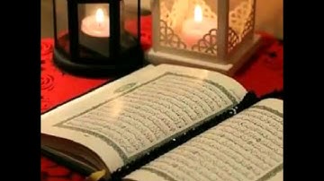 سورة الجاثية تلاوة القارئ/ محمد البراك