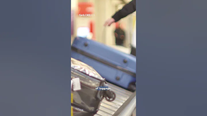 Crack the Code: Princess Cruises Luggage Tags 101