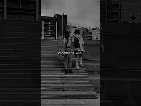 Log Hai Zaalim Bade Pal Pal Afusic Shorts Music Lyrics Trending