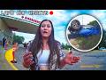 She Blamed Her Brakes for the Crash… Then Police Noticed Something Didn't Add Up