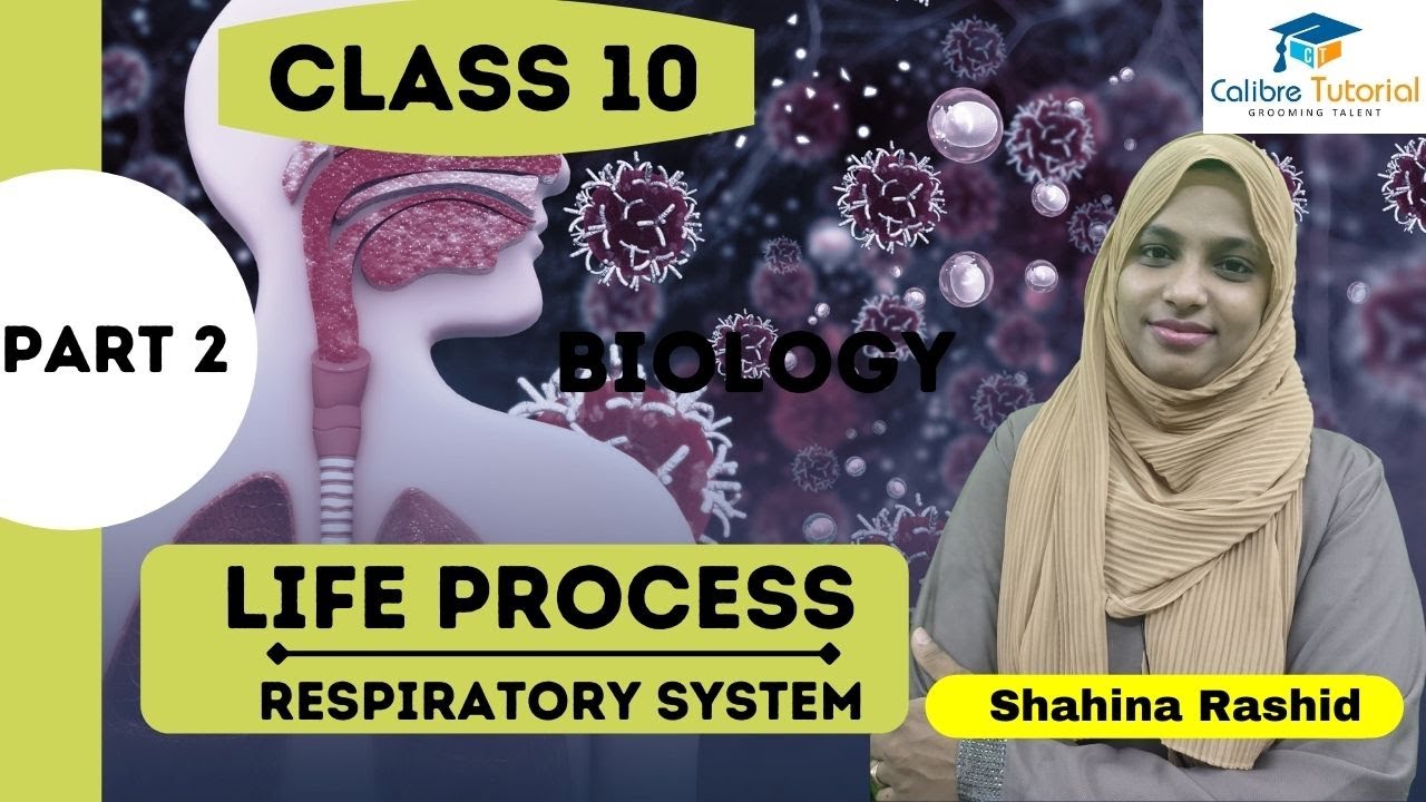 Respiratory System | Life Process | PART 2 | Class 10 | Science ...