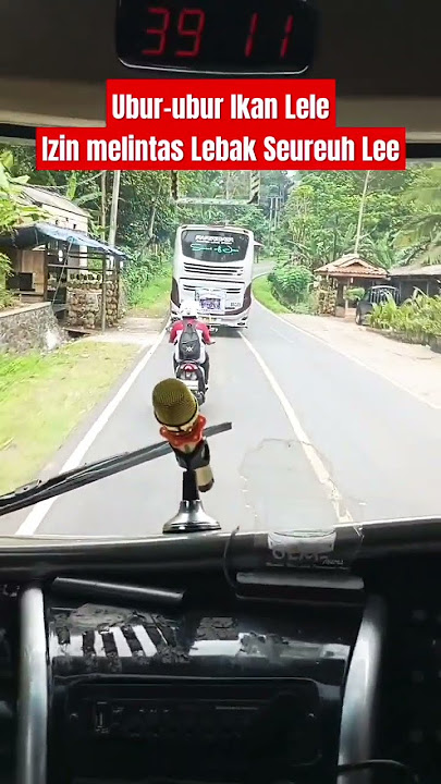 Bus Mania Pariwisata #bus #dj #sukalintasan